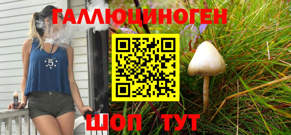 Псилоцибиновые грибы GOLDEN TEACHER Семилуки